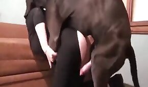 Casada peituda faz orgia na academia do condominio - sexo de cachorro,sexo foda animal